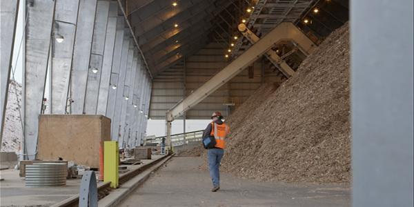 Plainfield, biomass plant